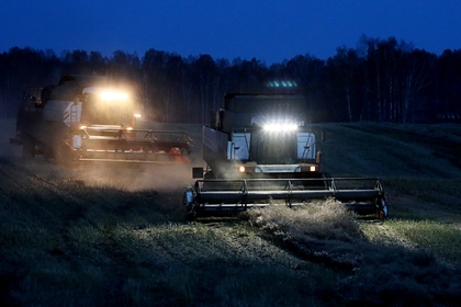 Путин раскритиковал идеи продавать зерно и нефть внутри России по мировым ценам