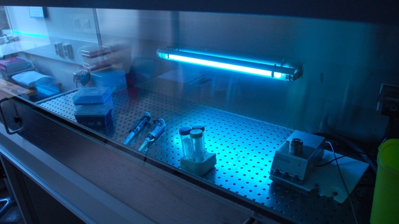 Невидимый знак качества для маркировки товаров появится в России