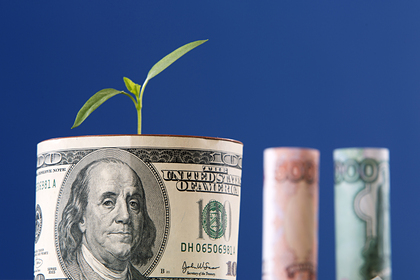 Эксперт предрек рост курса доллара до 100 рублей в скором будущем
