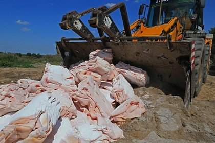 Россию уличили в уничтожении продуктов на 1,6 триллиона рублей