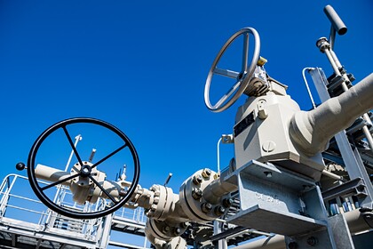 На Украине оценили шансы на изменение позиции Германии по «Северному потоку-2»