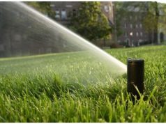 Автополив: преимущества использования, необходимые части системы