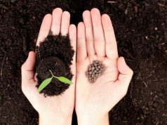 Интернет магазин Добродар: продажа семян