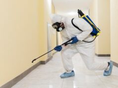 Тараканы: что с ними делать?